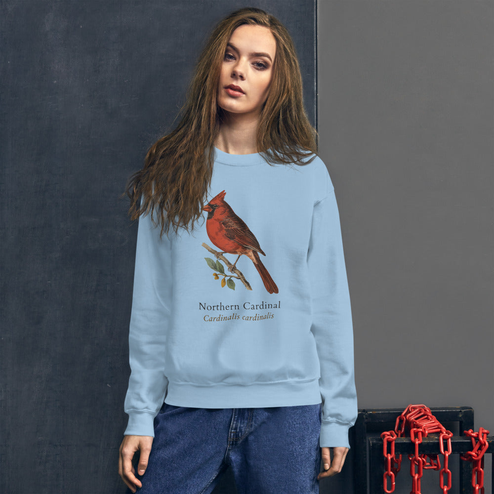 Northern Cardinal vintage field-guide crewneck sweatshirt — Light Blue, on model