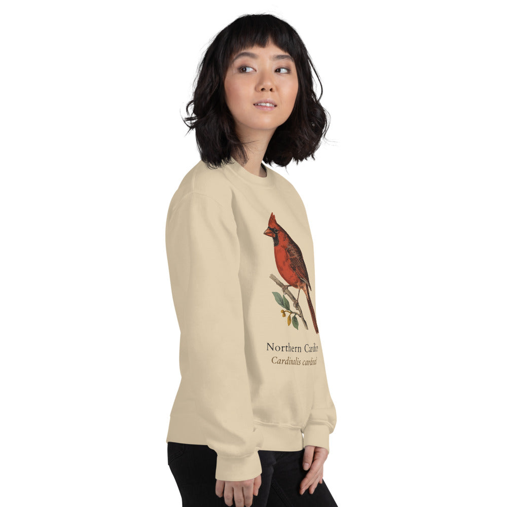 Northern Cardinal vintage field-guide crewneck sweatshirt — Sand, on model