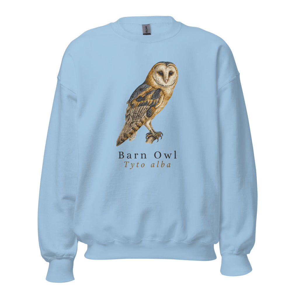 Barn Owl vintage field-guide crewneck sweatshirt — Light Blue, front