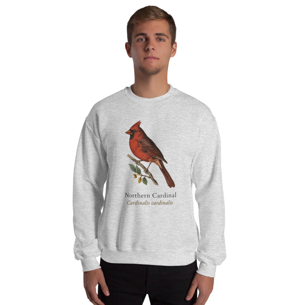 Northern Cardinal vintage field-guide crewneck sweatshirt — Ash, on model