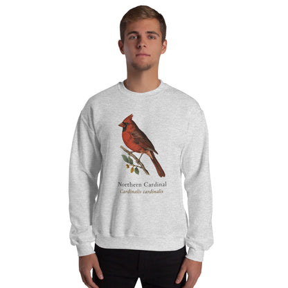 Northern Cardinal vintage field-guide crewneck sweatshirt — Ash, on model
