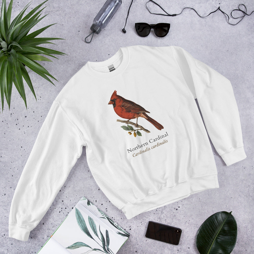 Northern Cardinal vintage field-guide crewneck sweatshirt — White, front flat-lay