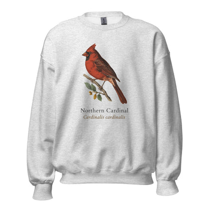 Northern Cardinal vintage field-guide crewneck sweatshirt — Ash, front