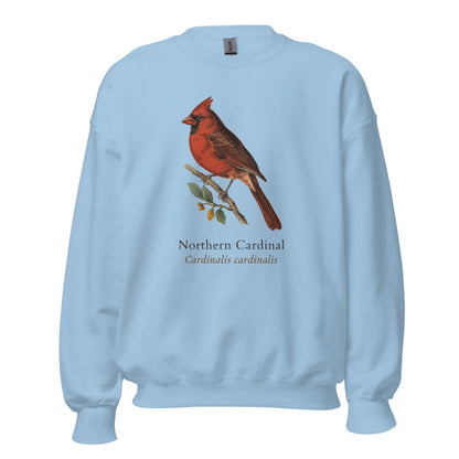 Northern Cardinal vintage field-guide crewneck sweatshirt — Light Blue, front