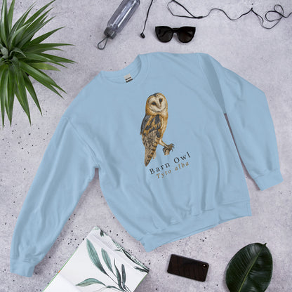 Barn Owl vintage field-guide crewneck sweatshirt — Light Blue, flat front