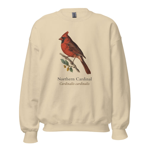 Birdwatching Sweatshirt, Vintage Northern Cardinal Crewneck, Birder Gift — Field-Guide Plate
