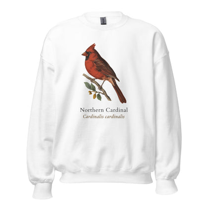 Northern Cardinal vintage field-guide crewneck sweatshirt — White, front