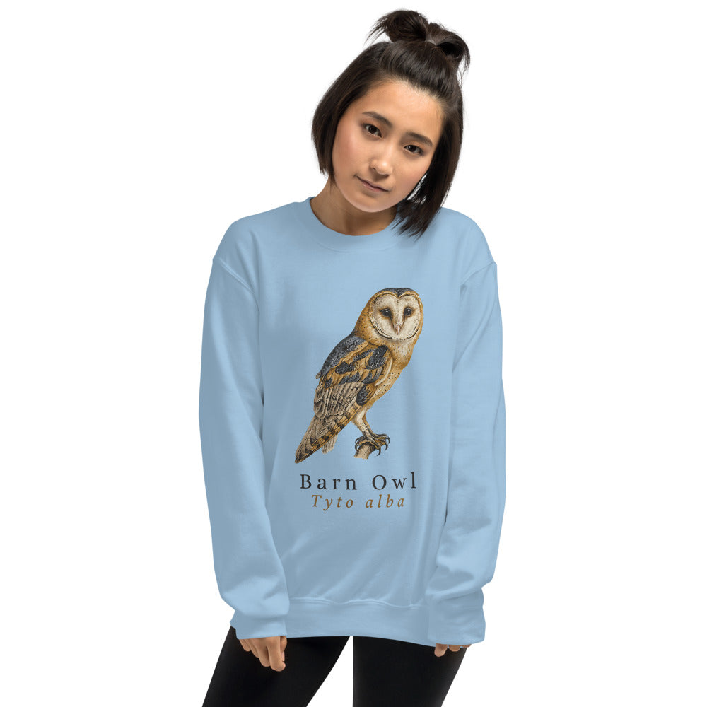 Barn Owl vintage field-guide crewneck sweatshirt — Light Blue, on model