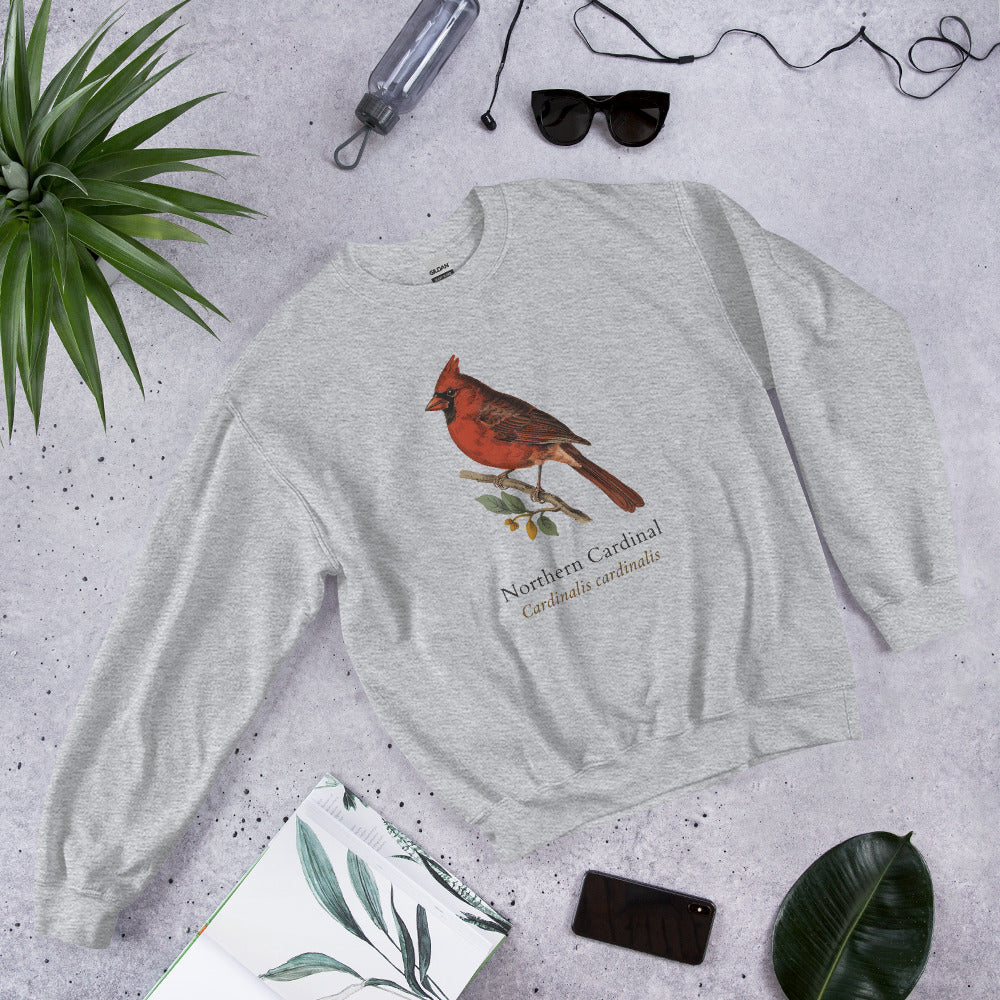 Northern Cardinal vintage field-guide crewneck sweatshirt — Sport Grey, front flat-lay