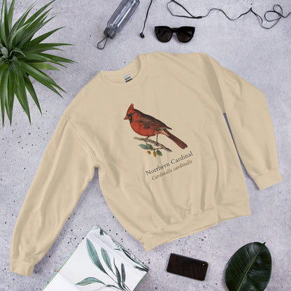 Northern Cardinal vintage field-guide crewneck sweatshirt — Sand, front flat-lay