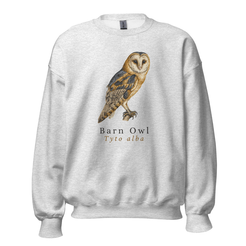 Barn Owl vintage field-guide crewneck sweatshirt — Ash, front