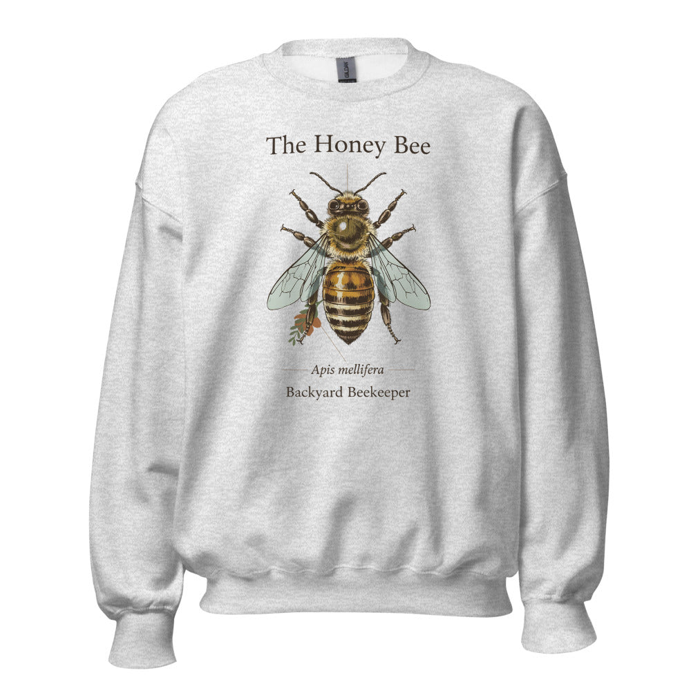 The Honey Bee Apis mellifera anatomical crewneck sweatshirt — Ash, front