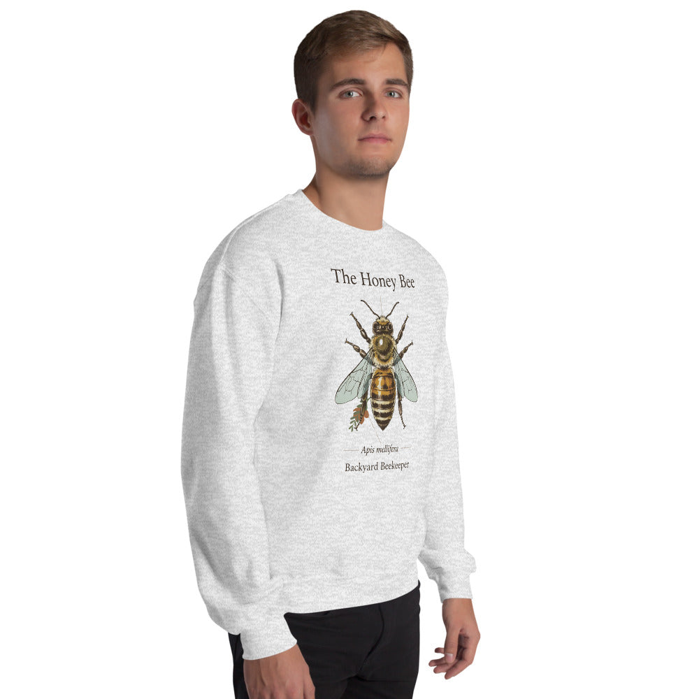 The Honey Bee Apis mellifera anatomical crewneck sweatshirt — Ash, on model