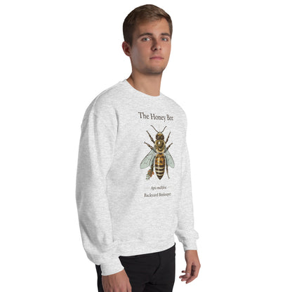 The Honey Bee Apis mellifera anatomical crewneck sweatshirt — Ash, on model