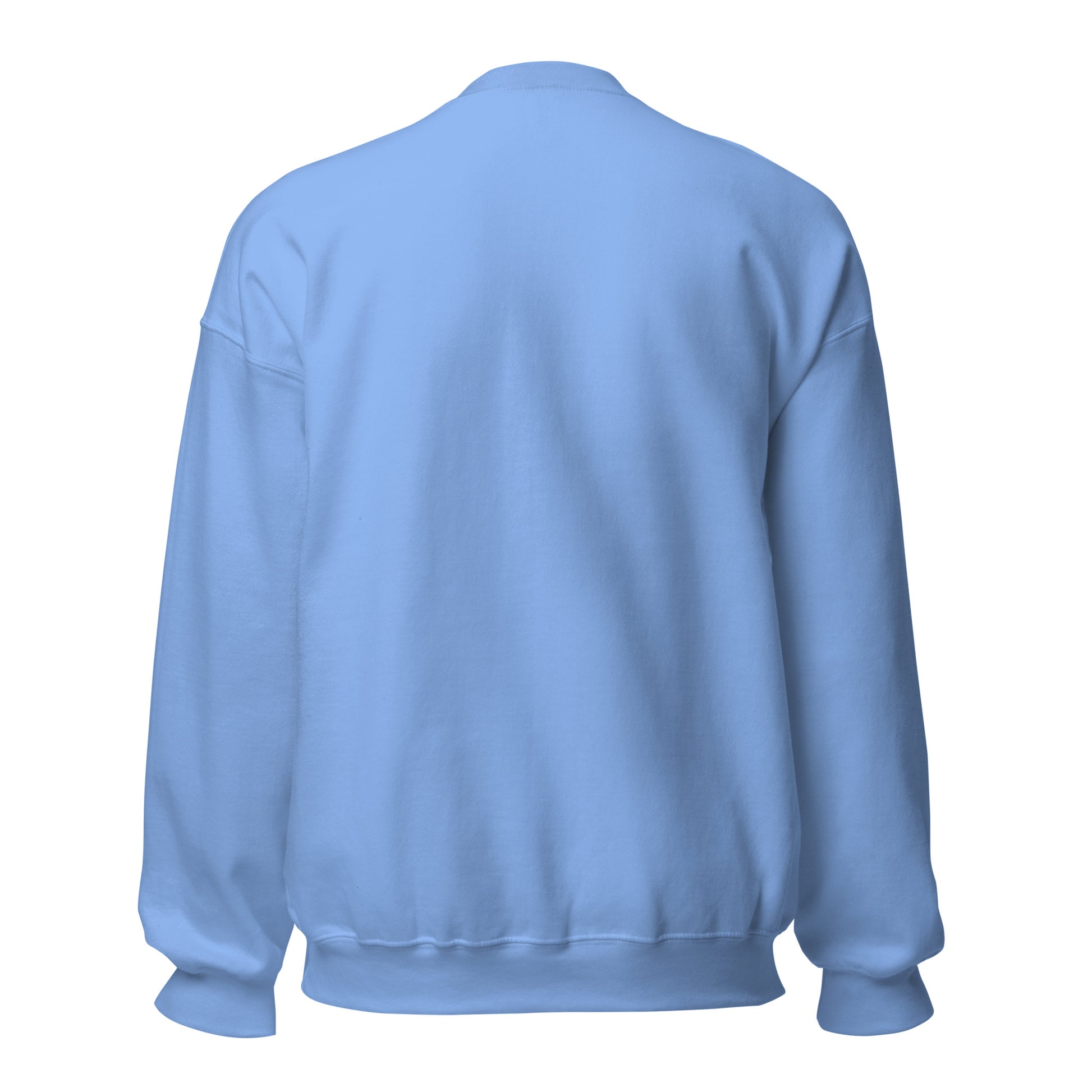 Dink Era Pickleball Club crewneck — Carolina Blue, back