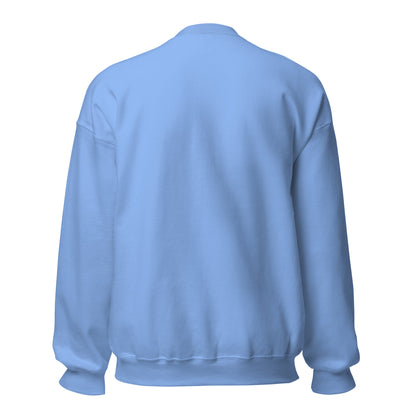 Dink Era Pickleball Club crewneck — Carolina Blue, back