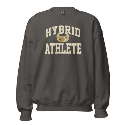 Hybrid Athlete vintage varsity crewneck sweatshirt — Charcoal, front
