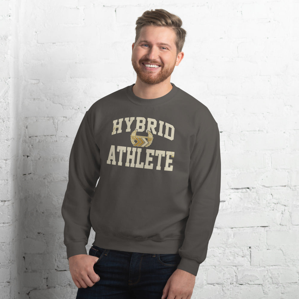 Hybrid Athlete vintage varsity crewneck sweatshirt — Charcoal, on model