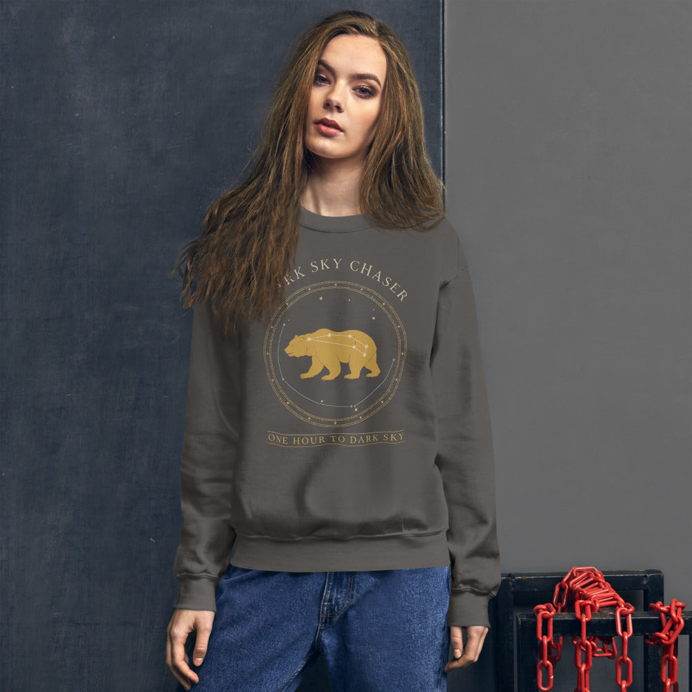 Dark Sky Chaser Ursa Major constellation astronomy sweatshirt — Charcoal, on model
