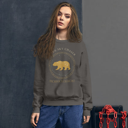 Dark Sky Chaser Ursa Major constellation astronomy sweatshirt — Charcoal, on model