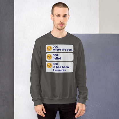 It Has Been 4 Minutes funny dog dad crewneck sweatshirt — Charcoal, on model