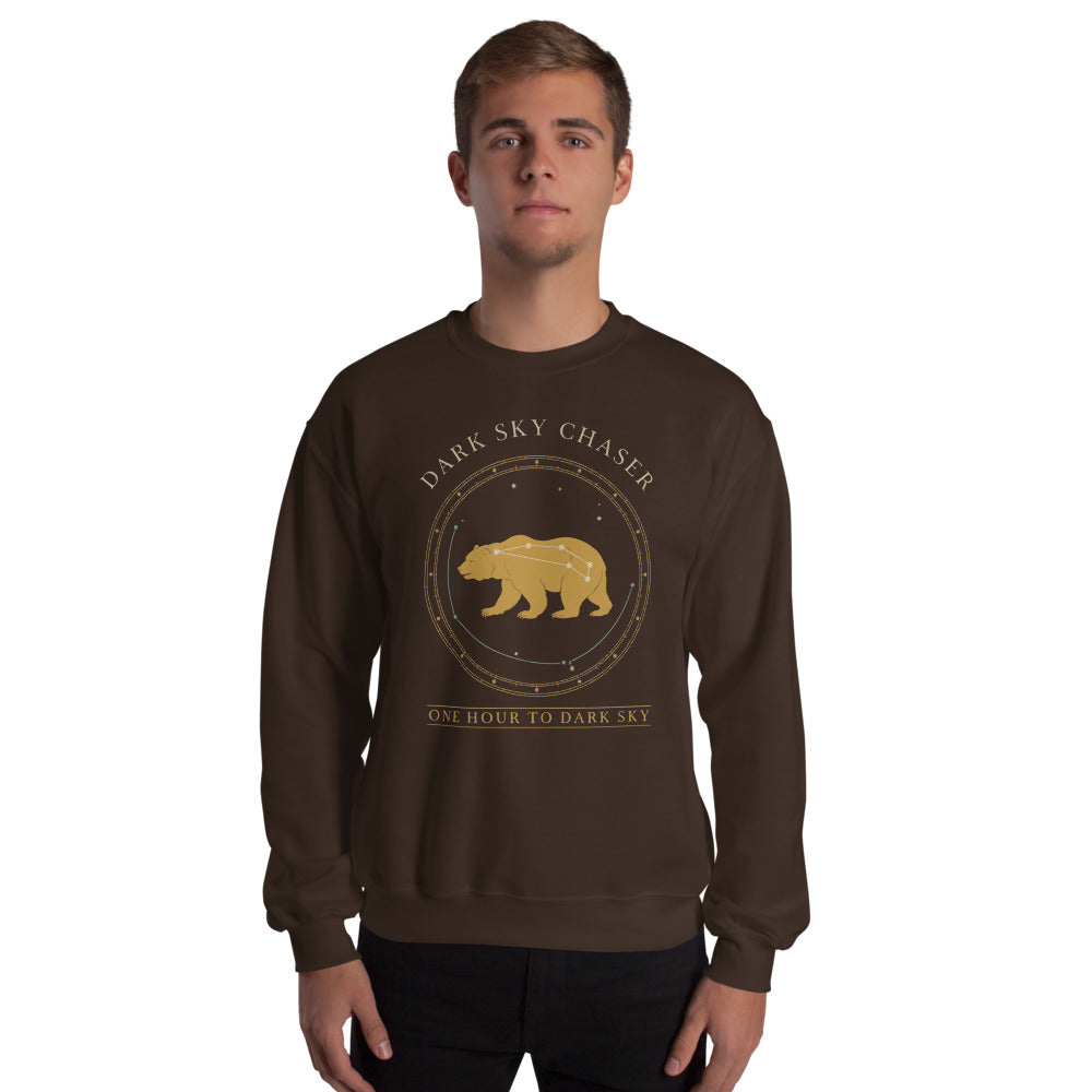 Dark Sky Chaser Ursa Major constellation astronomy sweatshirt — Dark Chocolate, on model