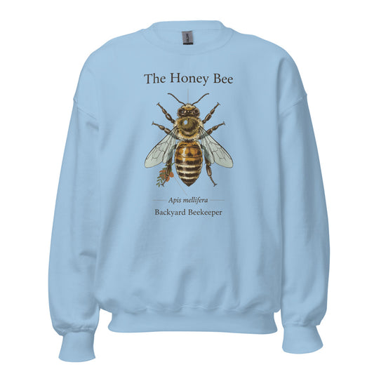 The Honey Bee Apis mellifera anatomical crewneck sweatshirt — Light Blue, front