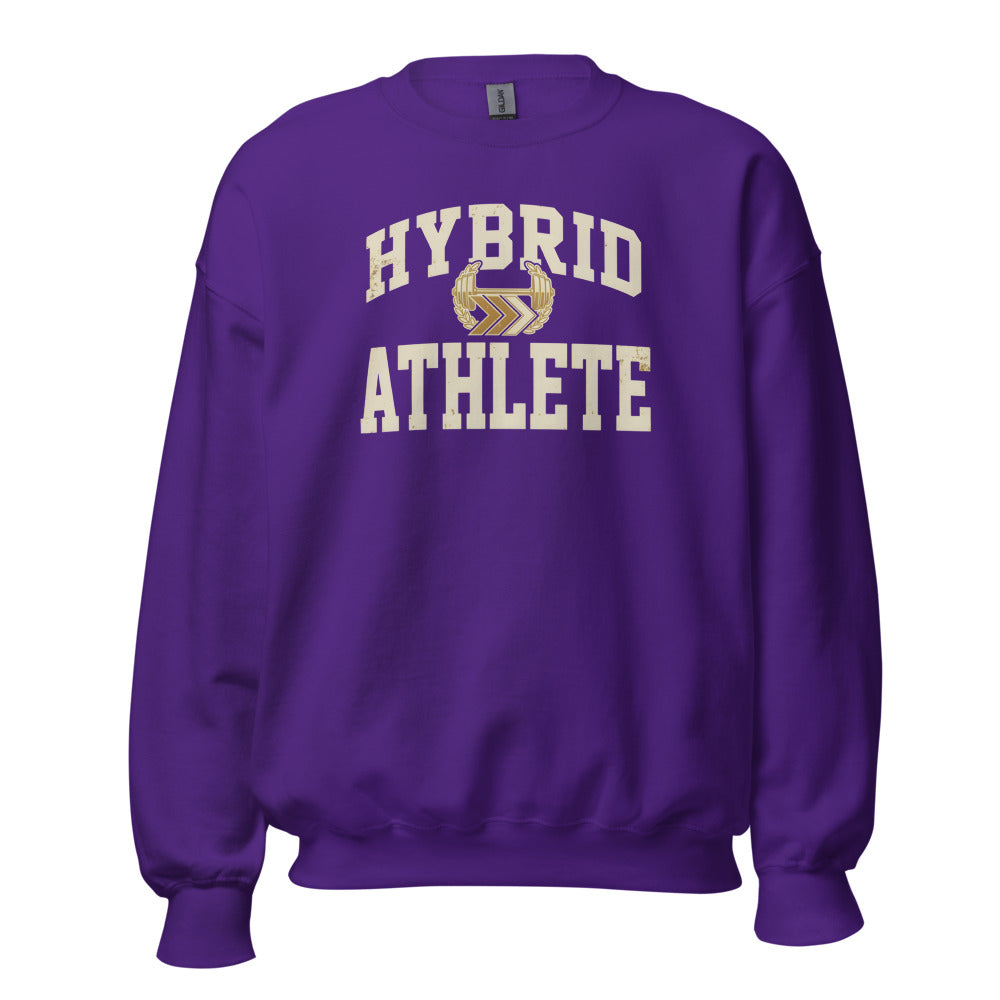 Hybrid Athlete vintage varsity crewneck sweatshirt — Purple, front