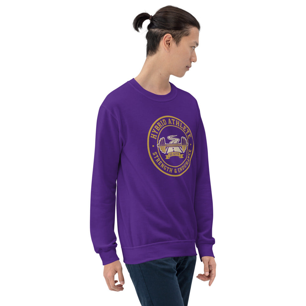 Hybrid Athlete vintage athletic-department crest crewneck sweatshirt — Purple, on model