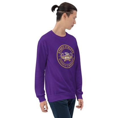 Hybrid Athlete vintage athletic-department crest crewneck sweatshirt — Purple, on model