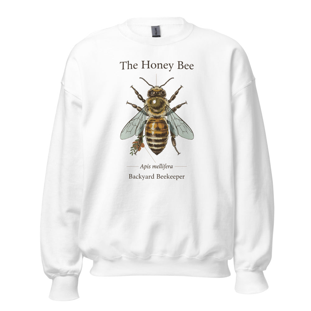 The Honey Bee Apis mellifera anatomical crewneck sweatshirt — White, front