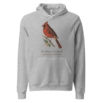 Northern Cardinal vintage field-guide hoodie — Athletic Heather, front