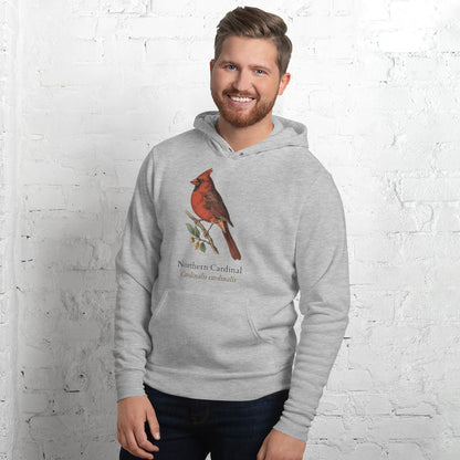 Northern Cardinal vintage field-guide hoodie — Athletic Heather, on model