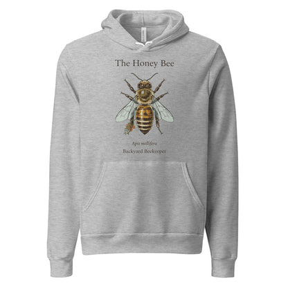 The Honey Bee Apis mellifera anatomical hoodie — Athletic Heather, front