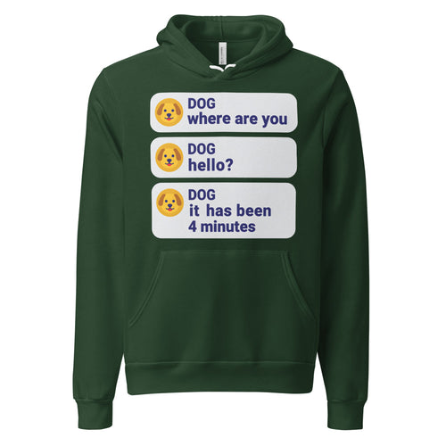 It Has Been 4 Minutes Hoodie