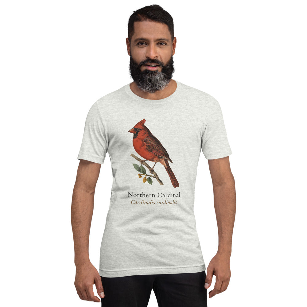 Northern Cardinal vintage field-guide tee — Ash, on model