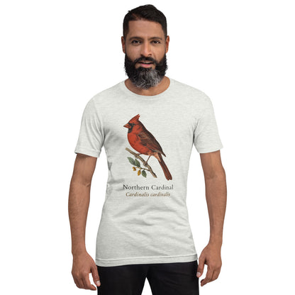 Northern Cardinal vintage field-guide tee — Ash, on model