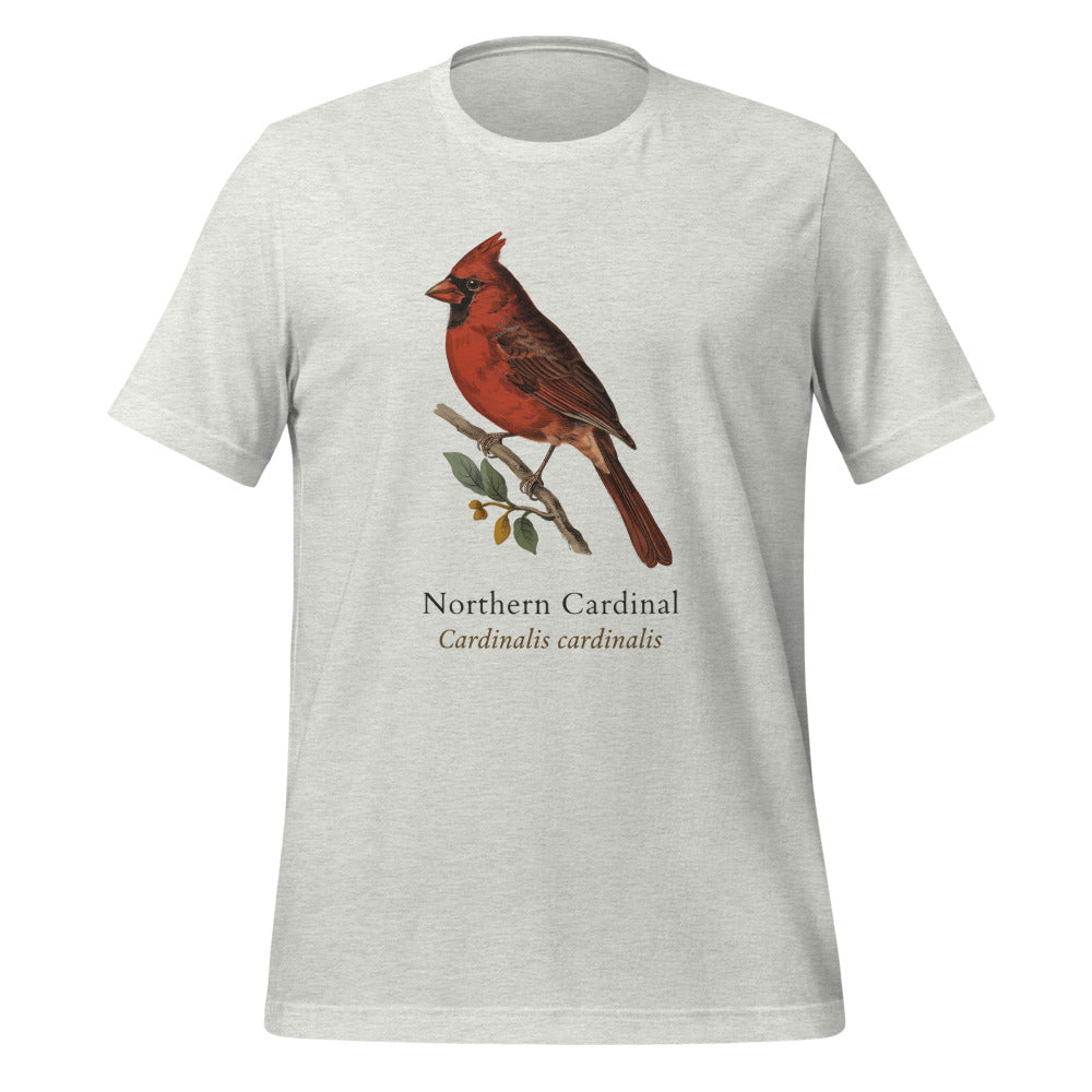 Northern Cardinal vintage field-guide tee — Ash, front