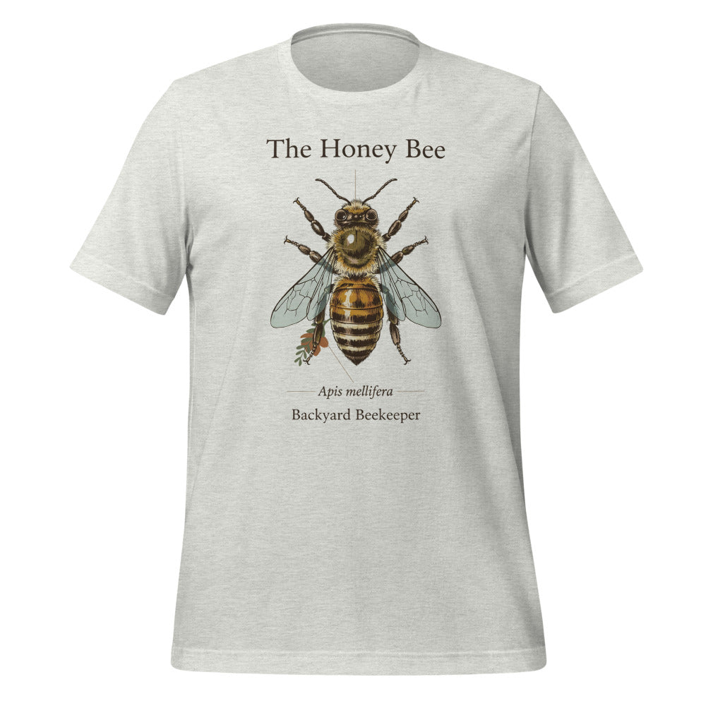 The Honey Bee Apis mellifera anatomical tee — Ash, front