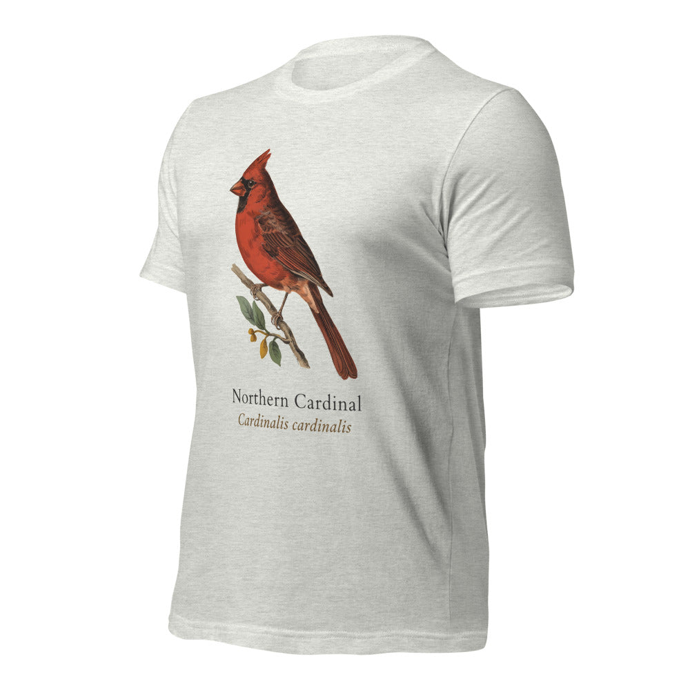 Northern Cardinal vintage field-guide tee — Ash, front-right