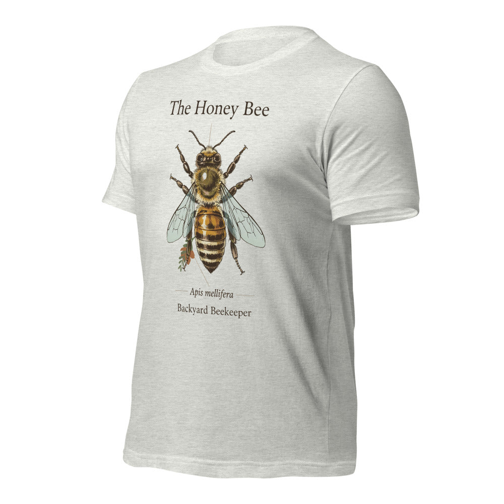 The Honey Bee Apis mellifera anatomical tee — Ash, front-right