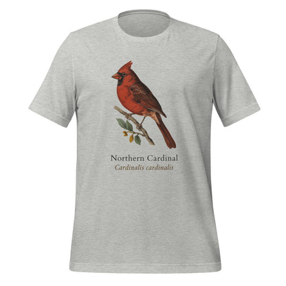 Northern Cardinal vintage field-guide tee — Athletic Heather, front