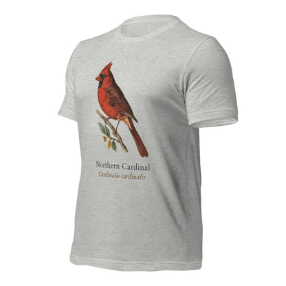Northern Cardinal vintage field-guide tee — Athletic Heather, front-right