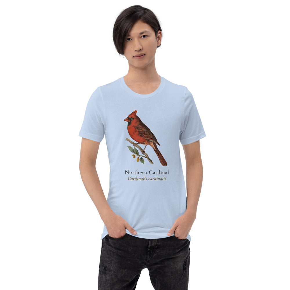 Northern Cardinal vintage field-guide tee — Baby Blue, on model