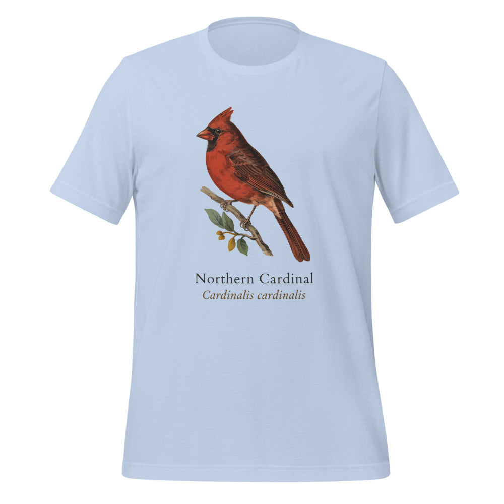 Northern Cardinal vintage field-guide tee — Baby Blue, front