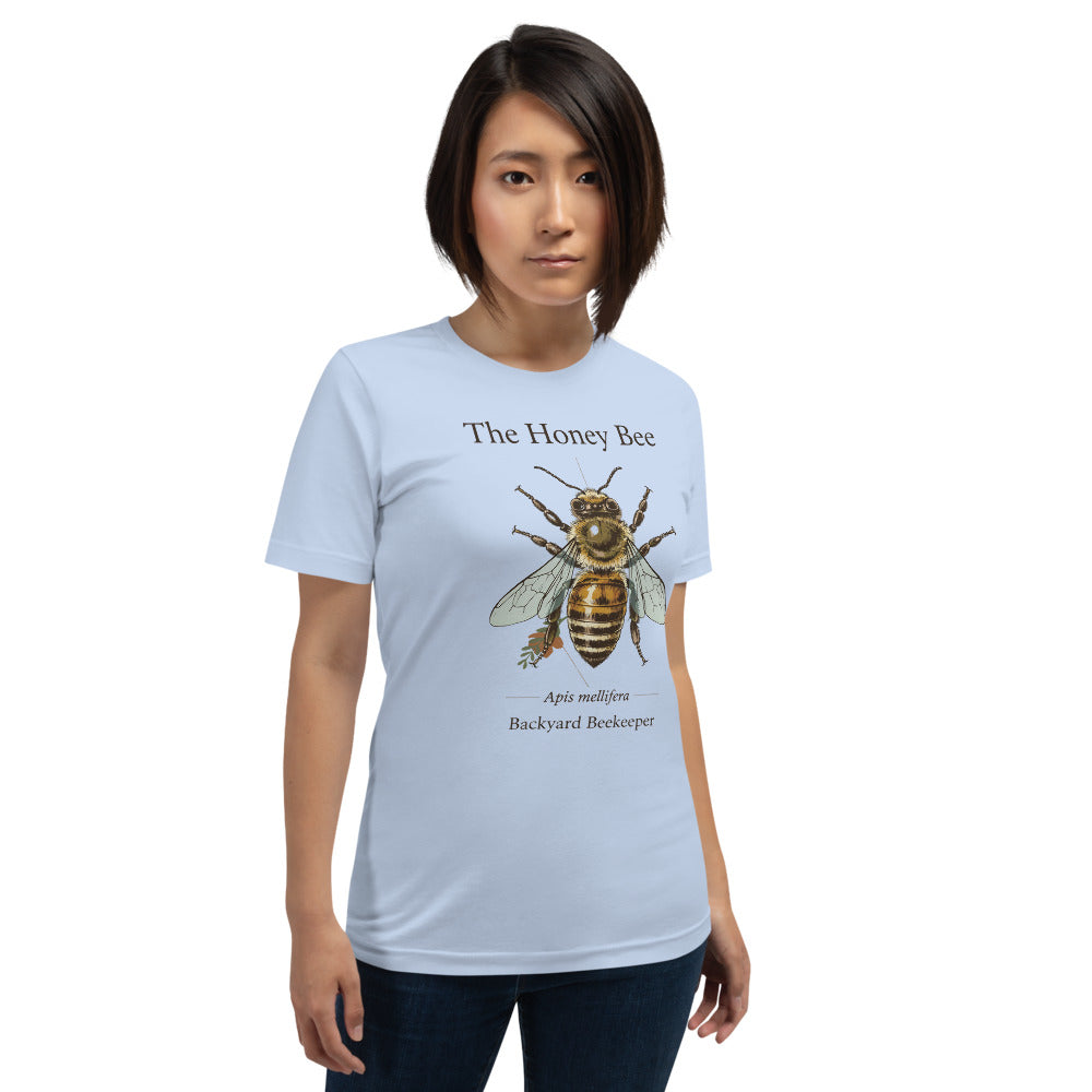 The Honey Bee Apis mellifera anatomical tee — Baby Blue, on model