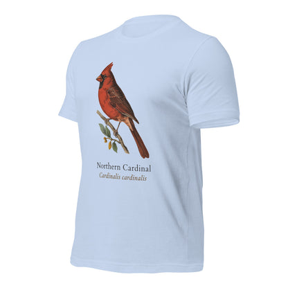 Northern Cardinal vintage field-guide tee — Baby Blue, front-right