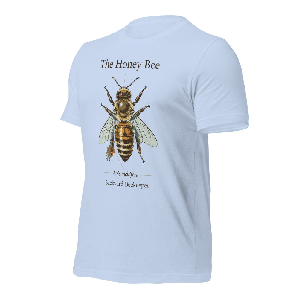 The Honey Bee Apis mellifera anatomical tee — Baby Blue, front-right