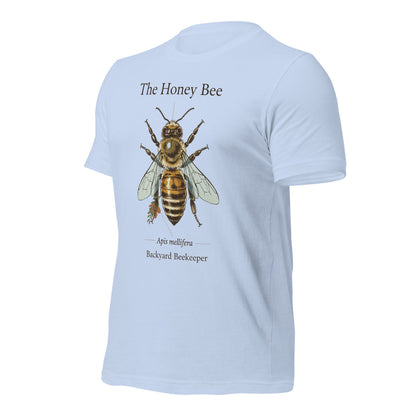 The Honey Bee Apis mellifera anatomical tee — Baby Blue, front-right