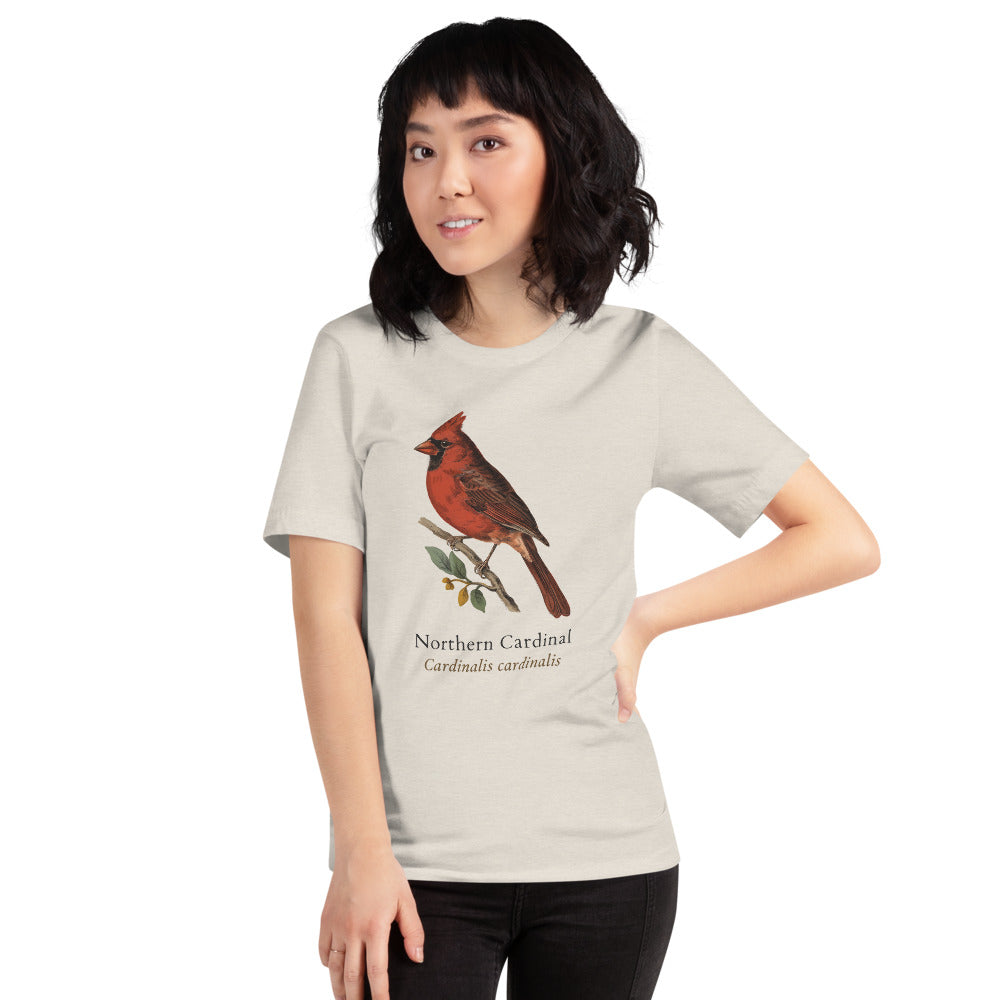 Northern Cardinal vintage field-guide tee — Heather Dust, on model